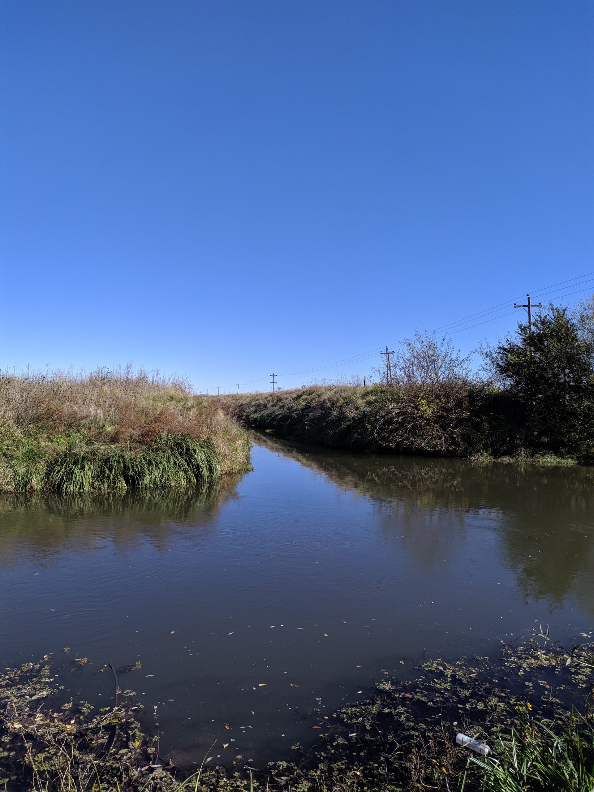 Piñeyro Turismo Coronel Suárez