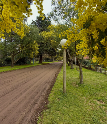 Villa La Arcadia