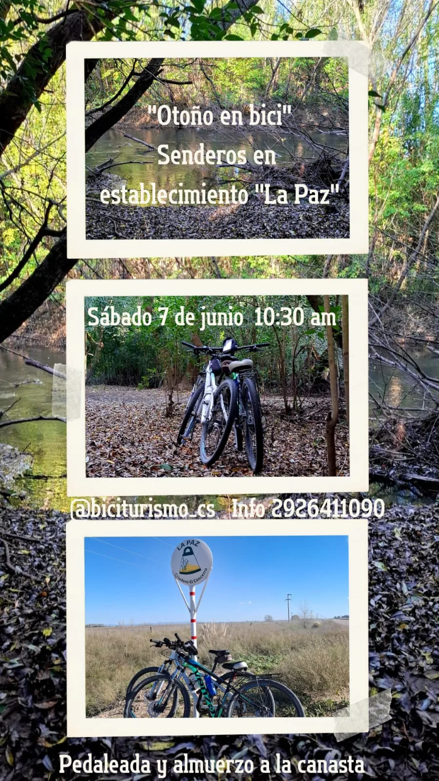 Otoño en bici 🚴‍♀️🍂